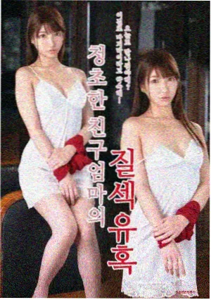 长风渡口都市情感剧封面